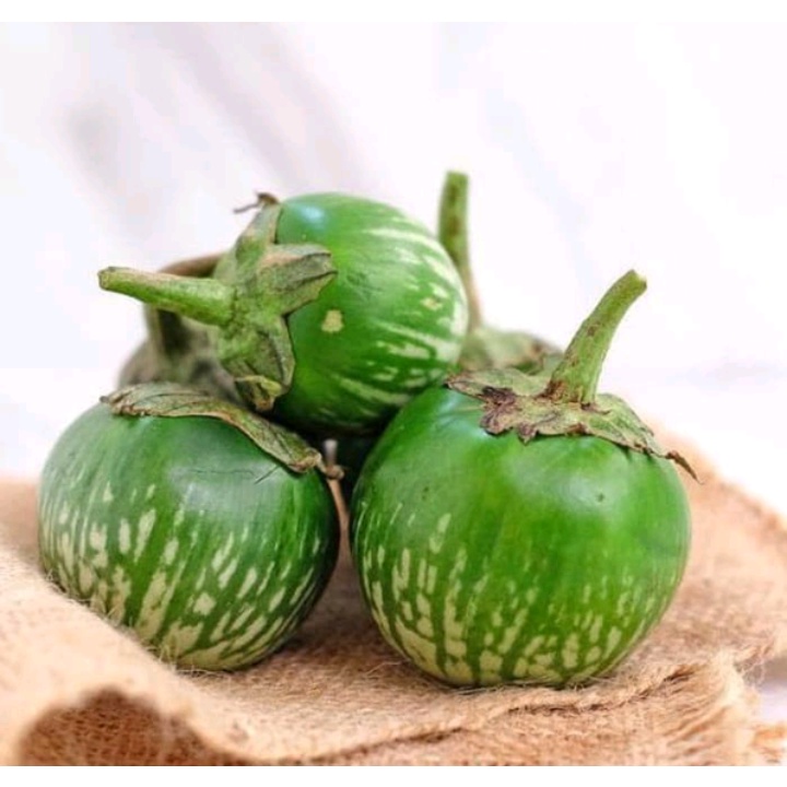 

PS/ Terog hijau 500gr