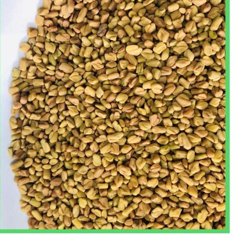 

Come--Halba / Klabet / Fenugreek 1 Kg