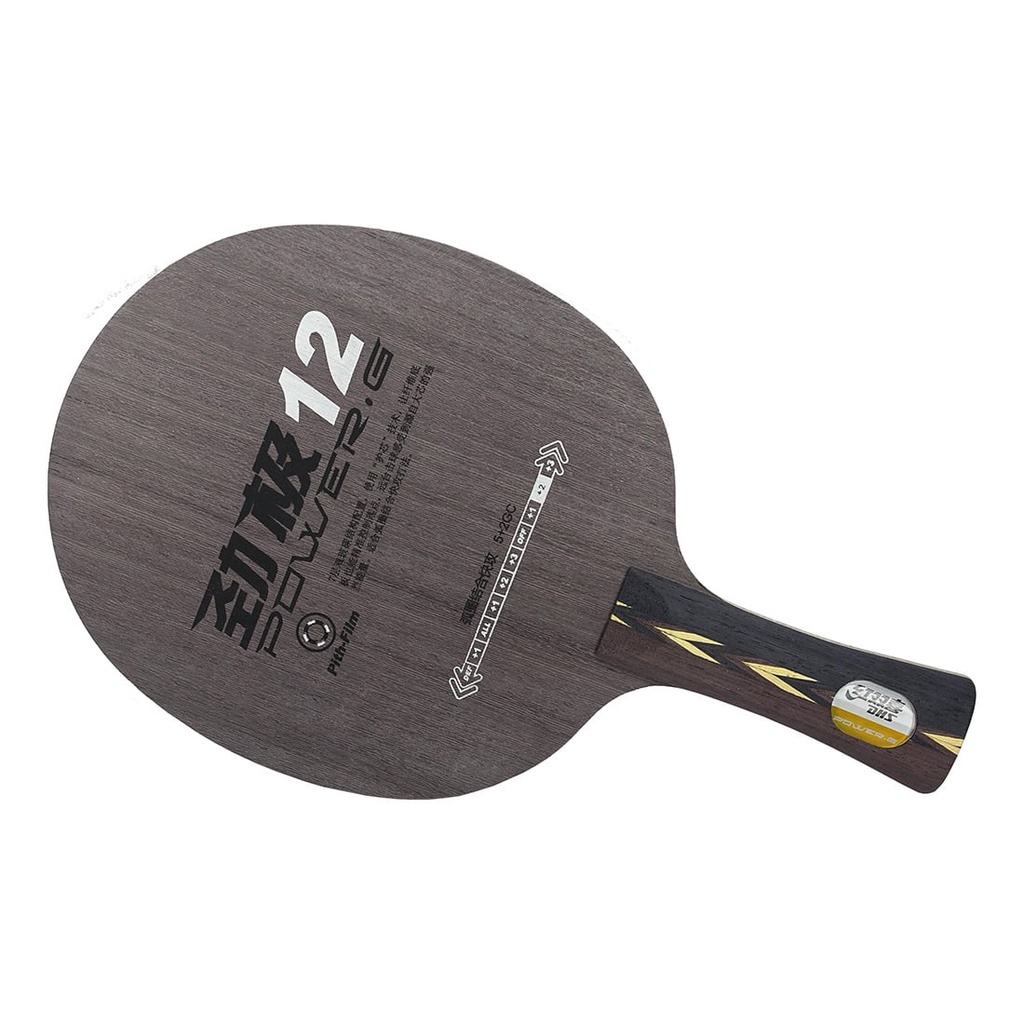 Bet Tenis Meja Kayu Bet Pingpong DHS PG 12 FL Power G