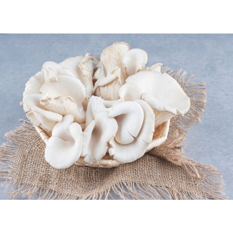 

jamur tiram sayur 250gr