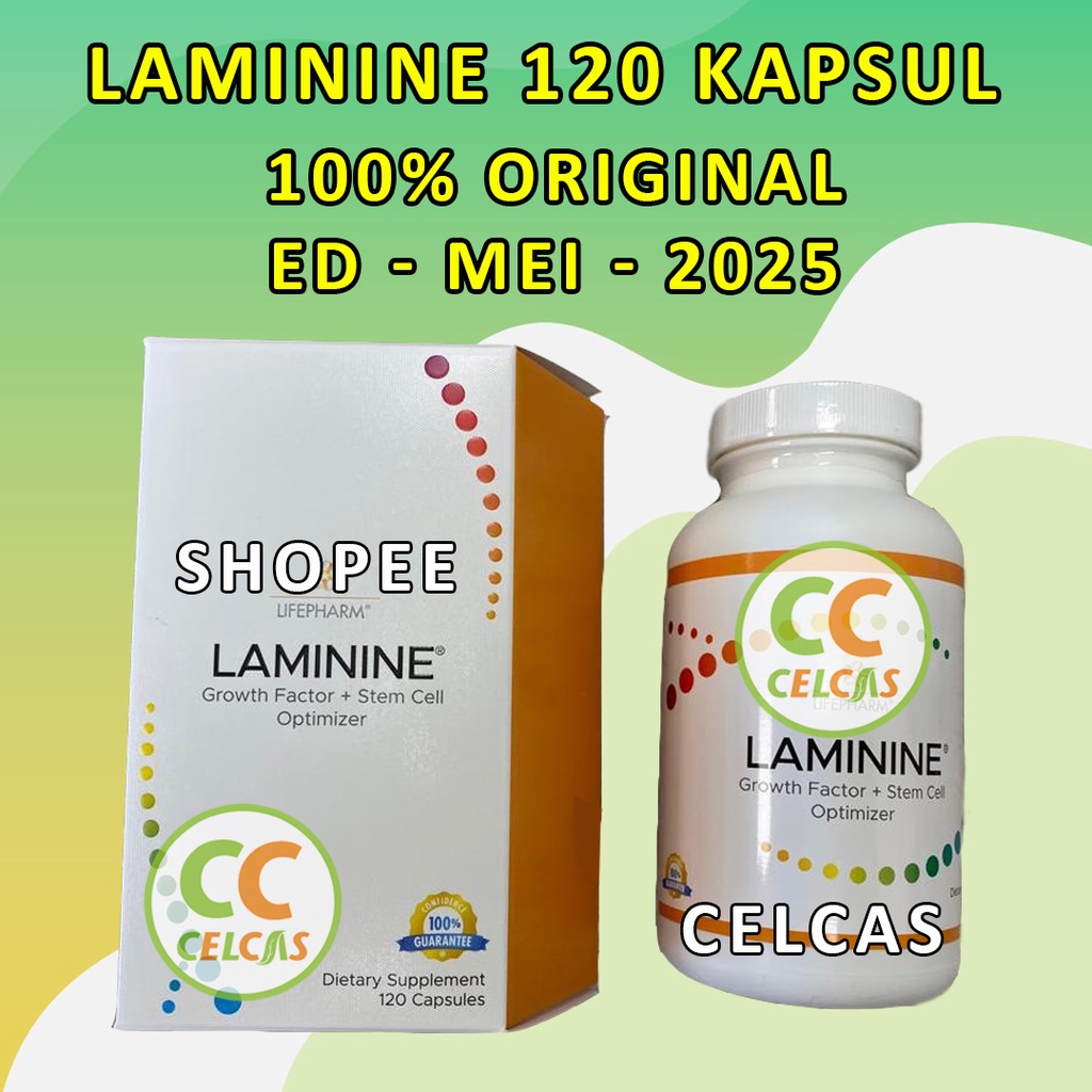 Laminine Laminin 120 Kapsul Stemcell Ori Original Lifepharm USA