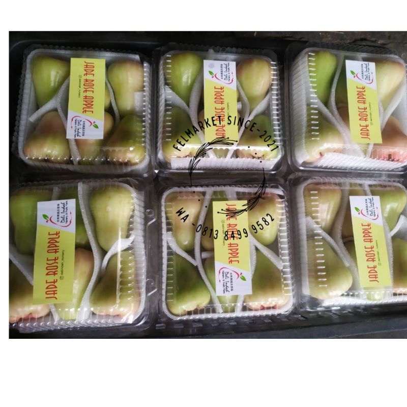 

jambu jade rose apple manis super | pack