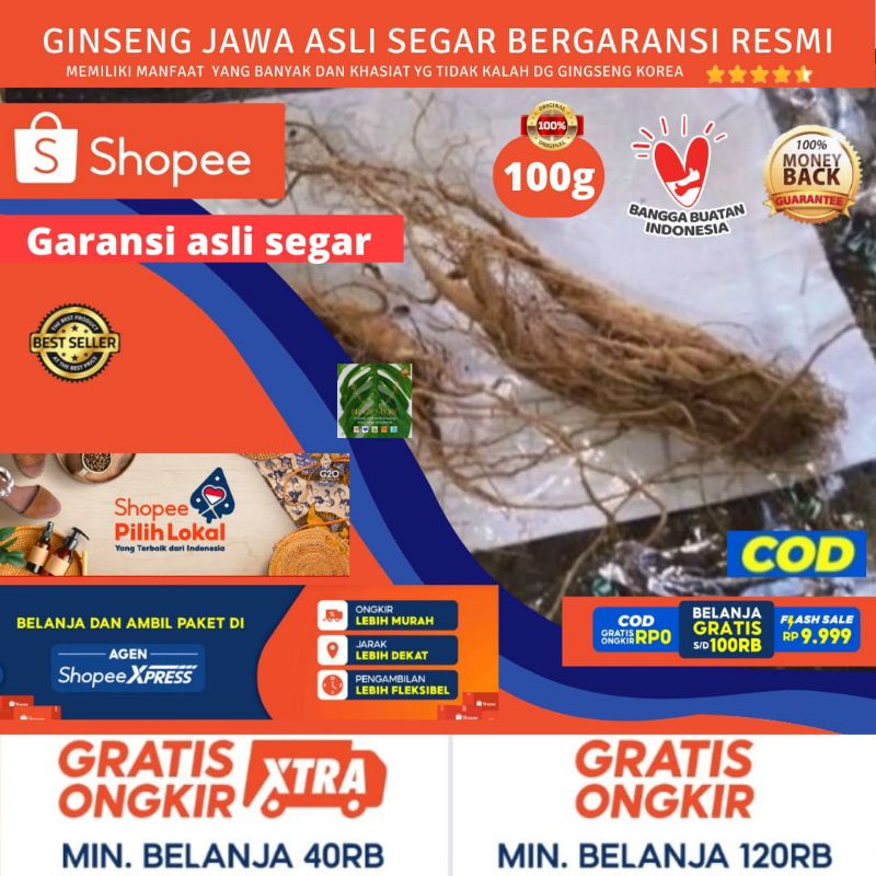 GINGSENG / GINSENG JAWA KERING 100g tanaman obat herbal energi akar merah korea murah asli ramuan tr