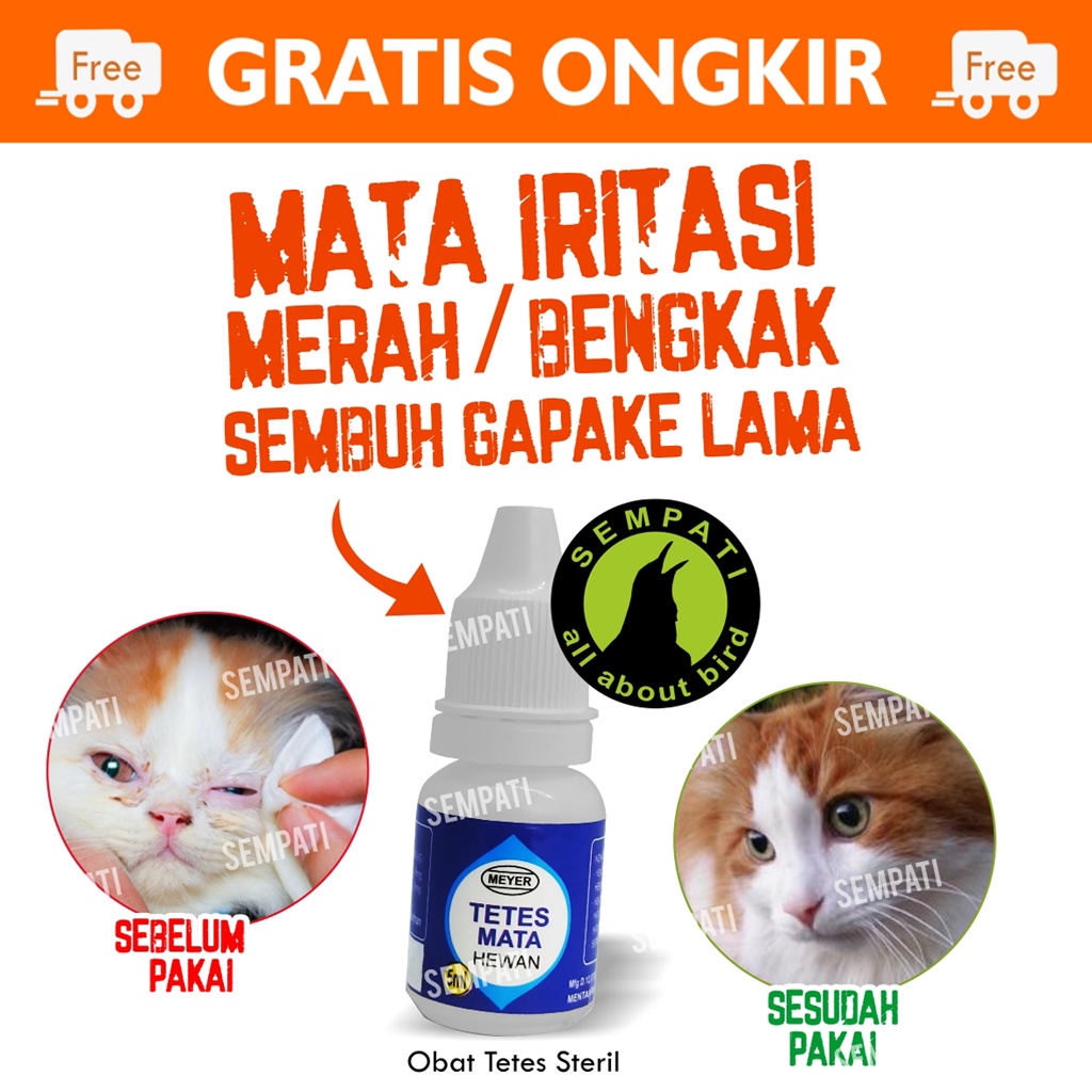 MEYER TETES MATA - Obat Tetes Mata Hewan Kucing Anjing Kelinci Burung Ayam Lovebird Kenari Obat Sakit Mata Kucing Hamster Obat Snot Mata Burung BTM