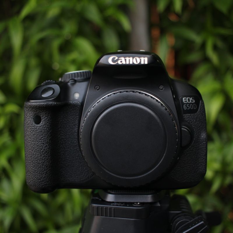 Canon 600d kemulusan 85% (lensa fix youngnuo 50mm )