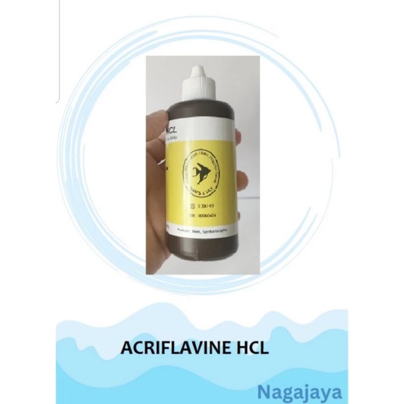 Acriflavine hcl 100ml obat kuning ikan obat hcl obat cair ikan