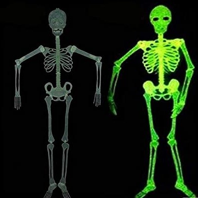 Pajangan Tengkorak Manusia glow in the dark tinggi +/- 150cm. Dekorasi Halloween/ halowin/ haloween. Nyala dalam gelap. / Halloween Skeleton Glow in the dark / Dekorasi Tengkorak