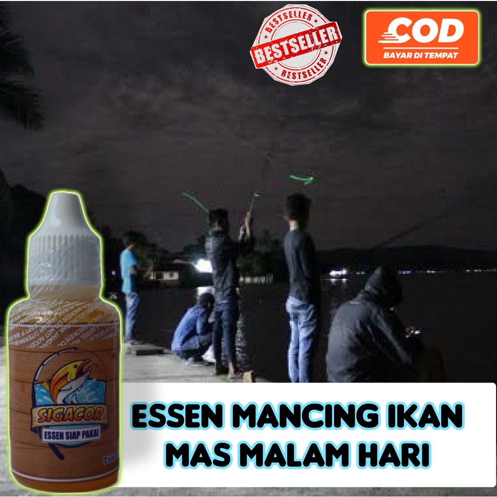 ESSEN SIGACOR - ESSEN UNTUK MANCING IKAN MAS DI MALAM HARI