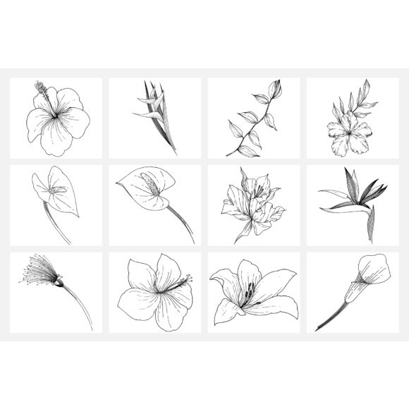 Tropical Leaves And Flowers