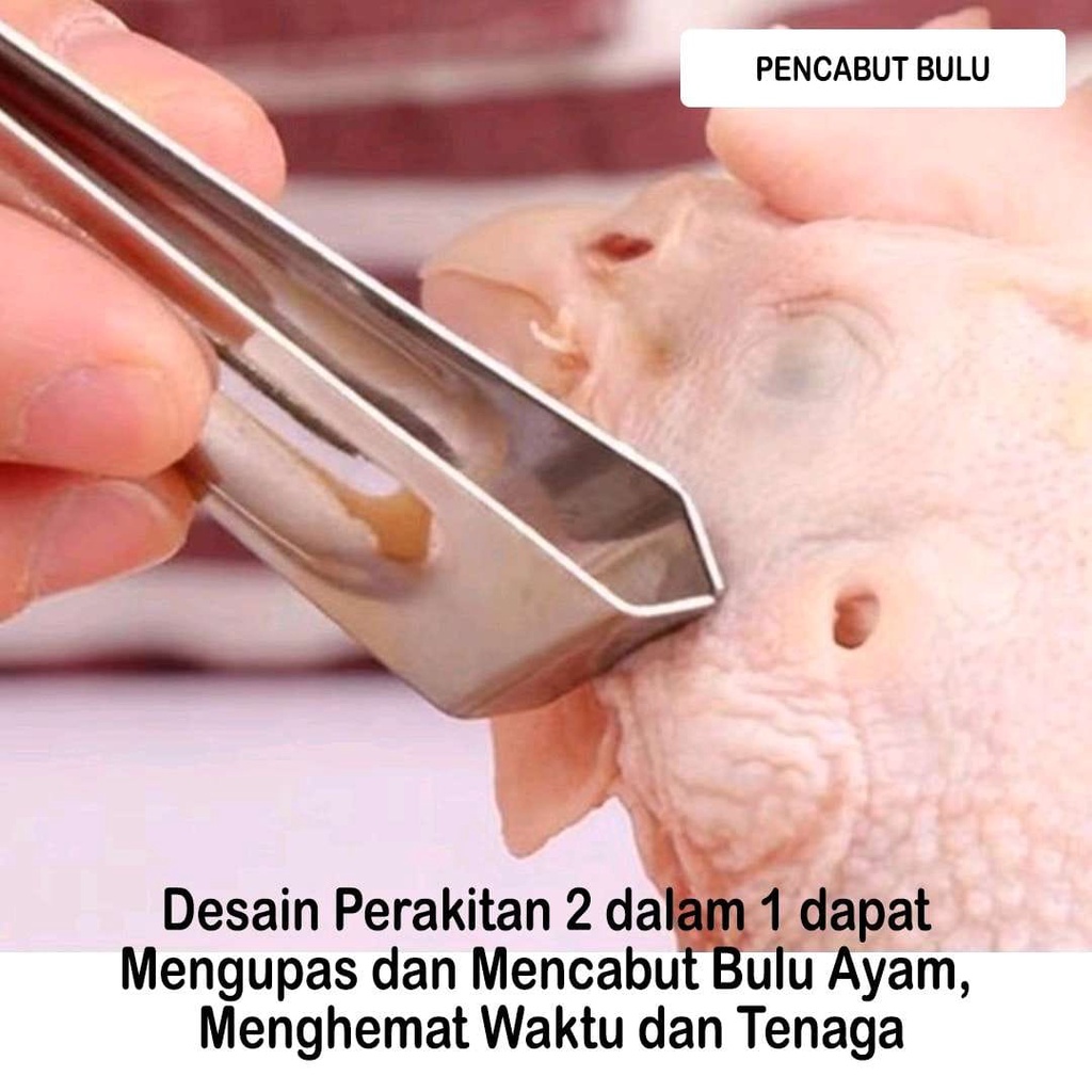 Peeler 3in1 Pisau kupas buah Sayur Set 3in1 Pengupas Kulit 3 in 1 Alat dapur stainless steel pengupas kulit buah pisau dapur 1 set