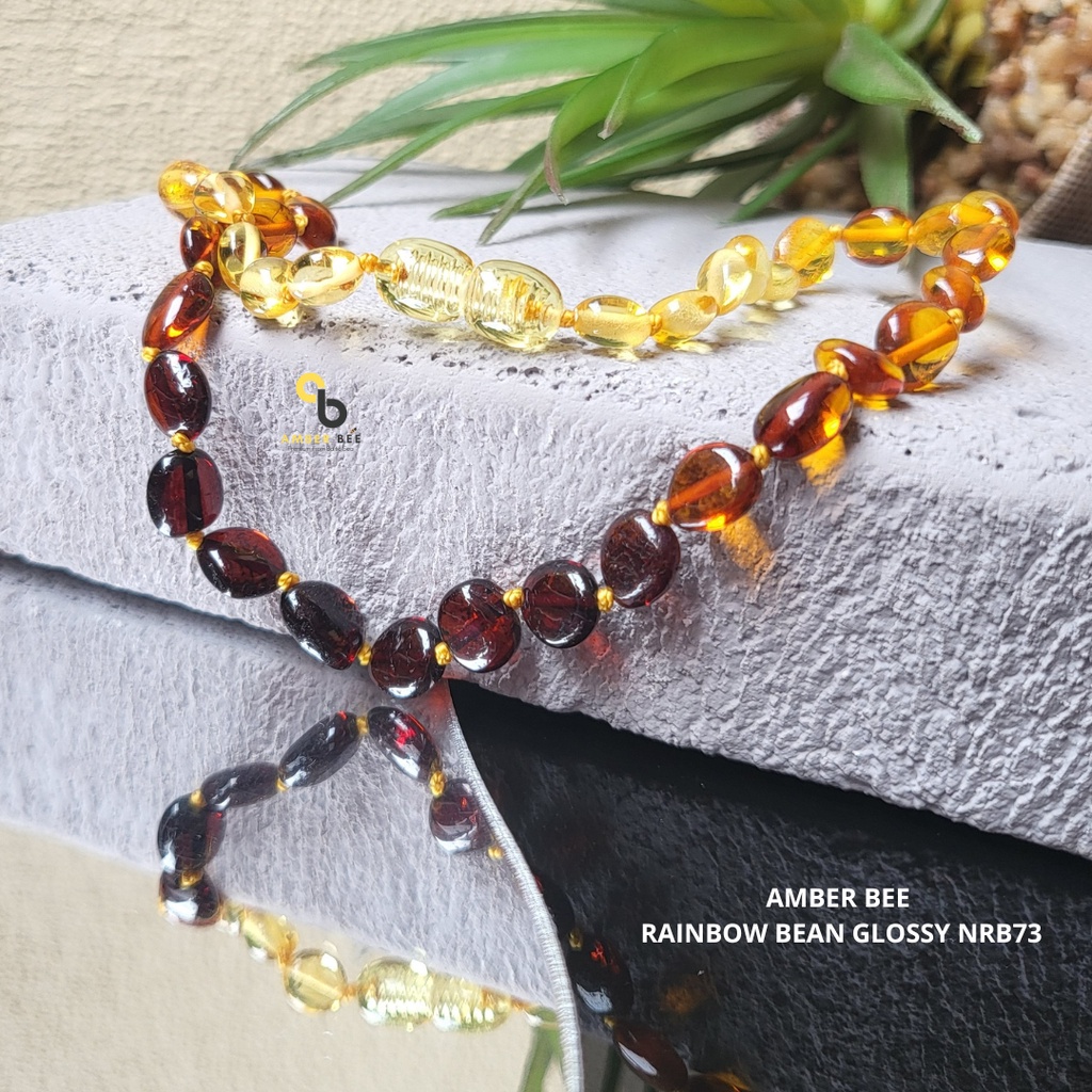 Kalung Amber Anak Premium Glossy Rainbow Beans NGRB73 By Amber Bee