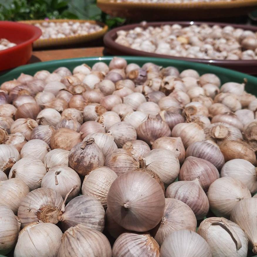 

10.10 Product HOT Bawang Putih Tunggal Lanang Impor Besar Super 1kg !