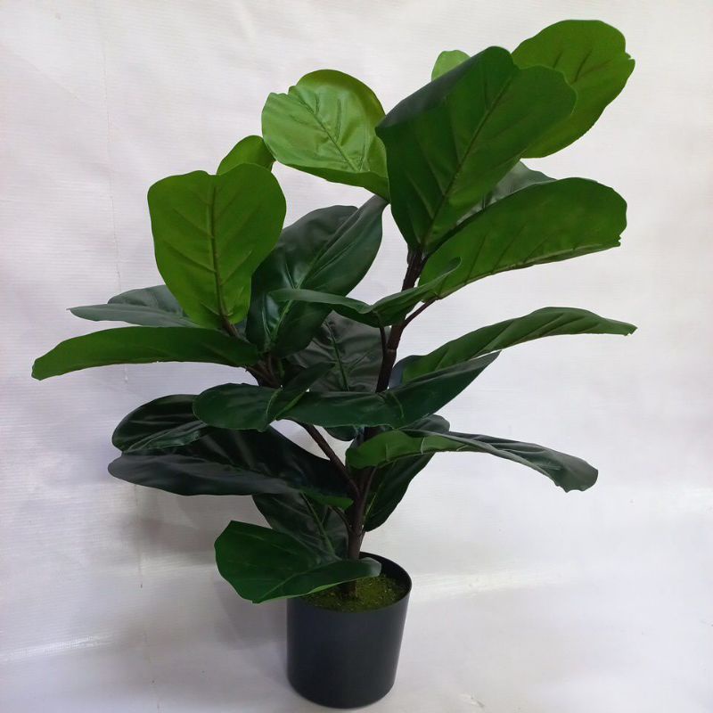 pohon ketapang palsu artificial T.65cm/pohon plastik/ pohon ketapang latex