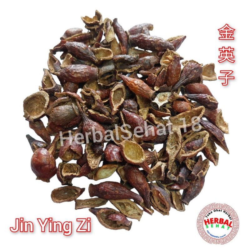 

Jin Ying Zi 大金英 Jin Yin Zi / Jinyingzi / Da Jin Ying / Fructus Rosae Laevigatae 50-100 gr