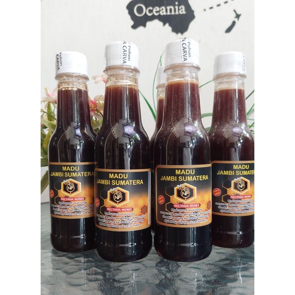 

Madu Jambi Sumatera - Nectasi Honey - Madu Nektar Akasi Carva