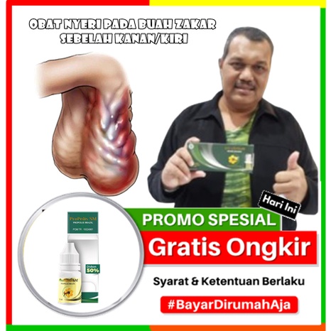 Obat Nyeri Pada Buah Zakar Sebelah Kanan/Kiri | Penghilang Orchitis, Hidrokel, Varikokel, Hernia, To