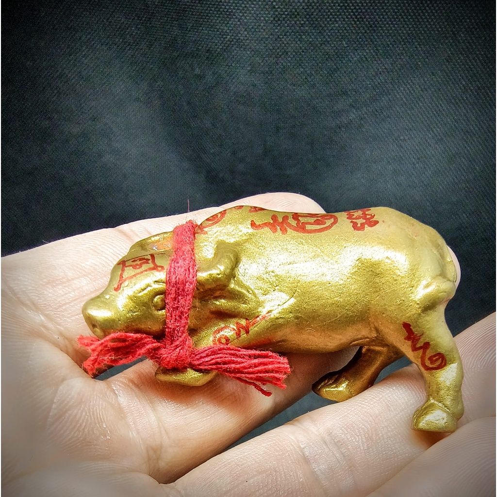 Mini Bucha Wua Tanu, Ajahn Tim