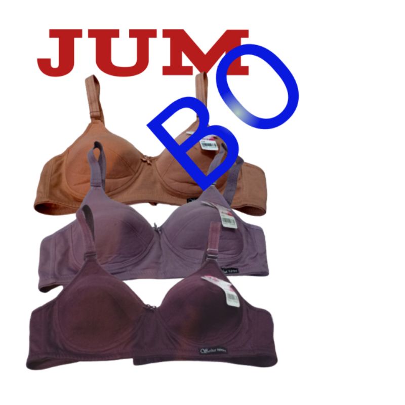 Bra sport jumbo salsa tanpa busa tali besar cup C kait 3 size 46 48 bahan tebal