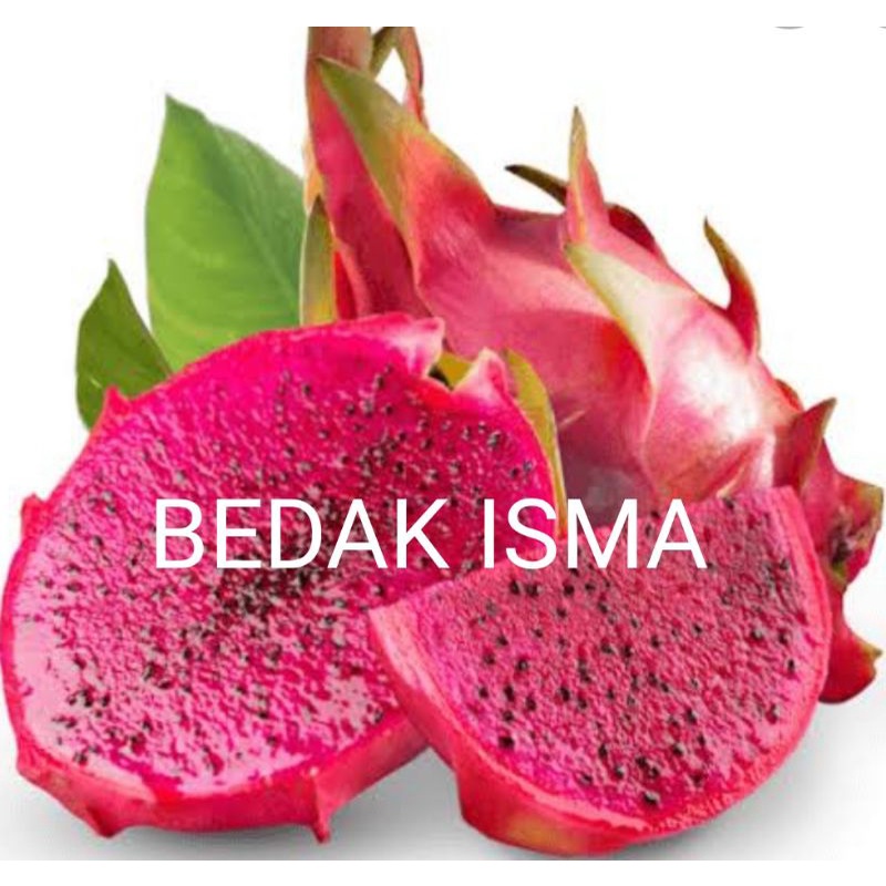 

NAGA MERAH MADU ASLI BAYUWANGI