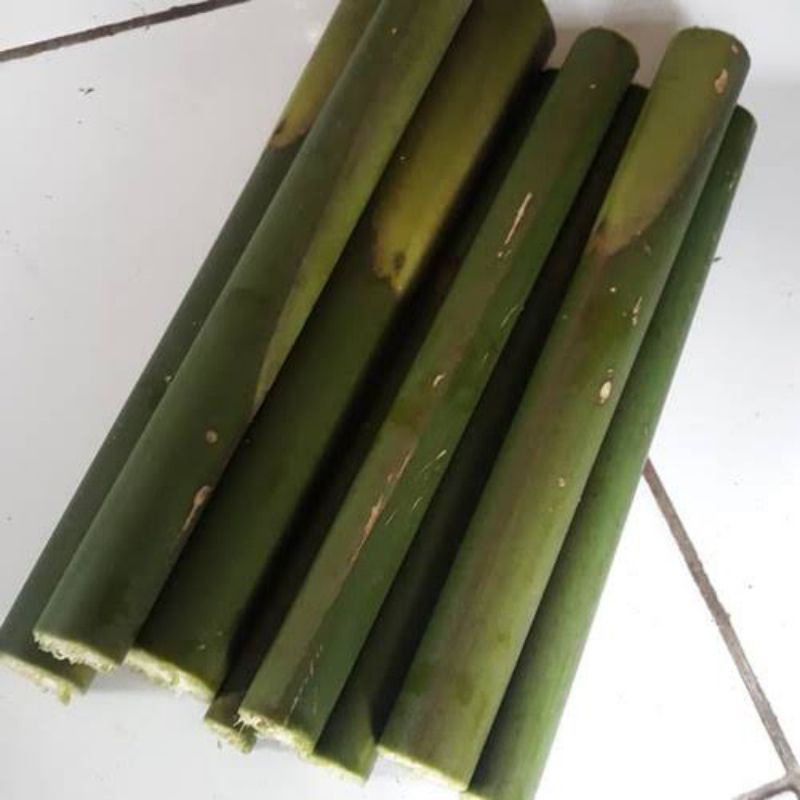 

Batang pohon kecombrang 1kg