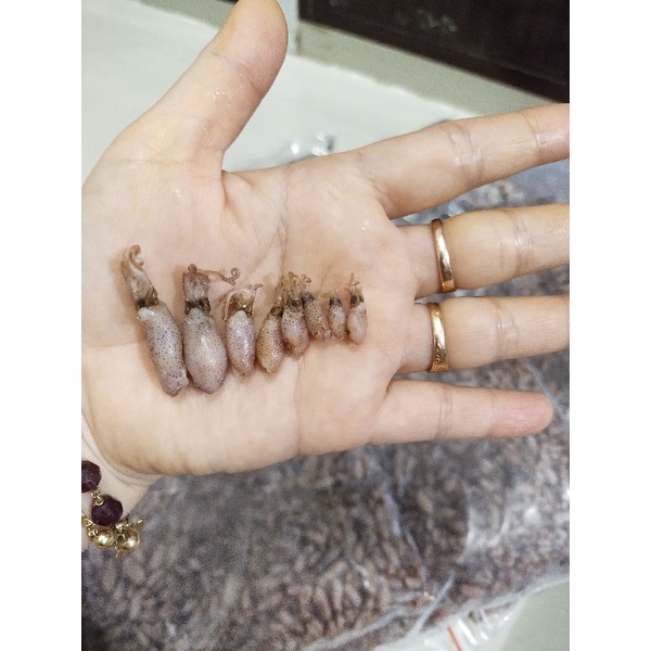 

Baby Cumi ~ Baby Cumi Kering