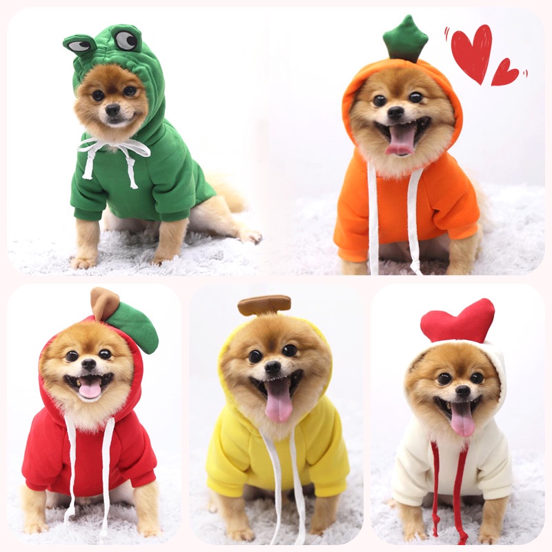 Sweater hoodie kucing/anjing lucu model buah dan hewan