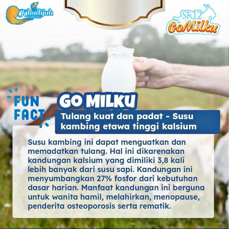 

Susu Kambing Etawa Bubuk SR12 Go Milku 600gram