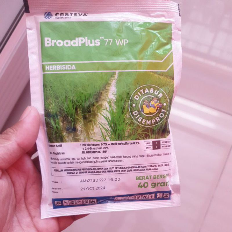 broadplus 77 wp