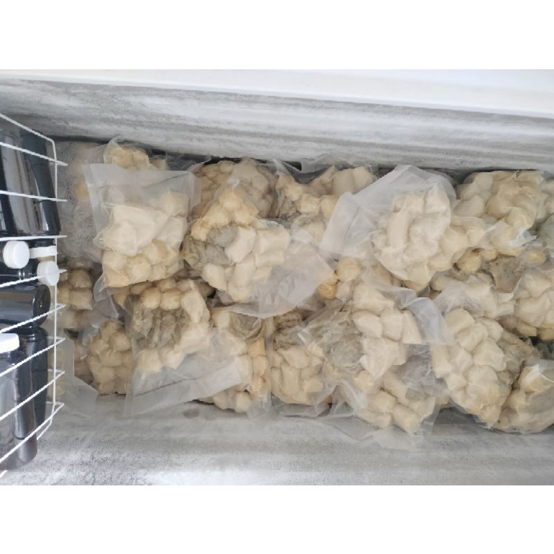 

Aneka pempek isi Biji