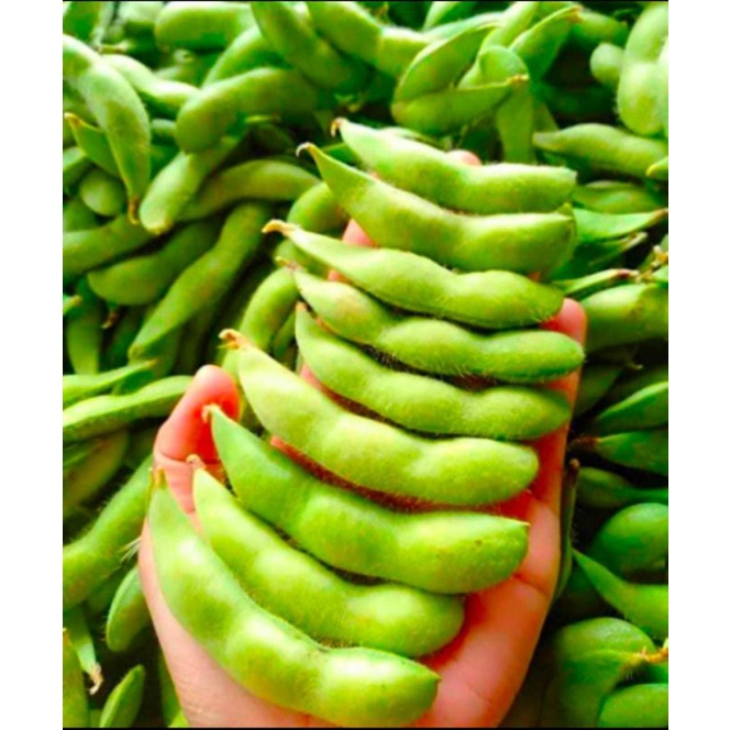 

edamame