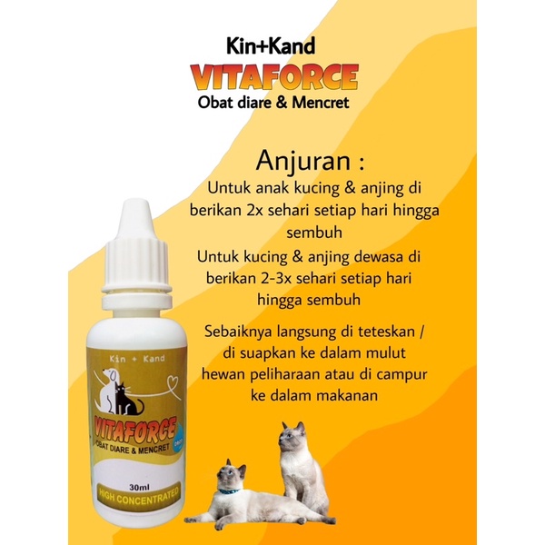 Kin kand VITAFORCE Obat Diare dan Mencret Kucing Anjing