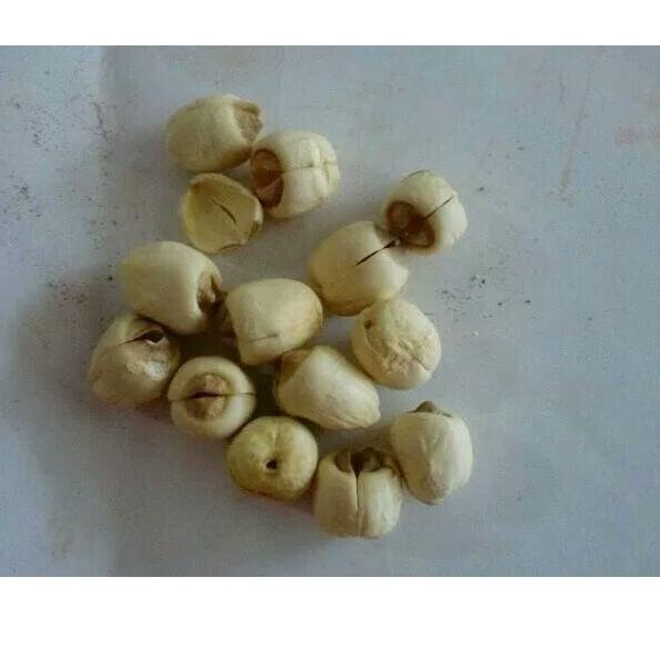 

IDDd2D7--600 G GR GRAM BAI LIAN ZI LOTUS SEED SEEDS