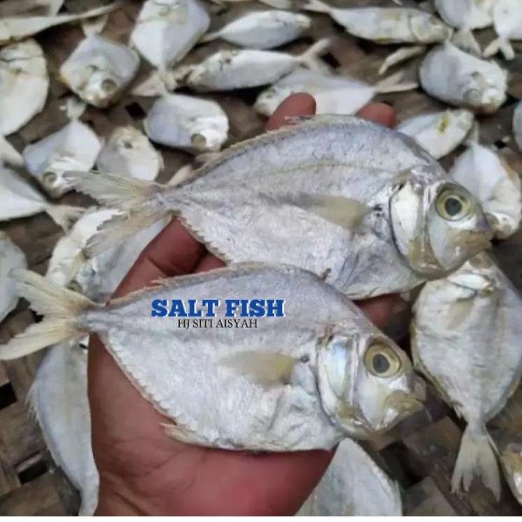 

Produk terbaru--ikan asin petek besar fresh; 1kg best selerr