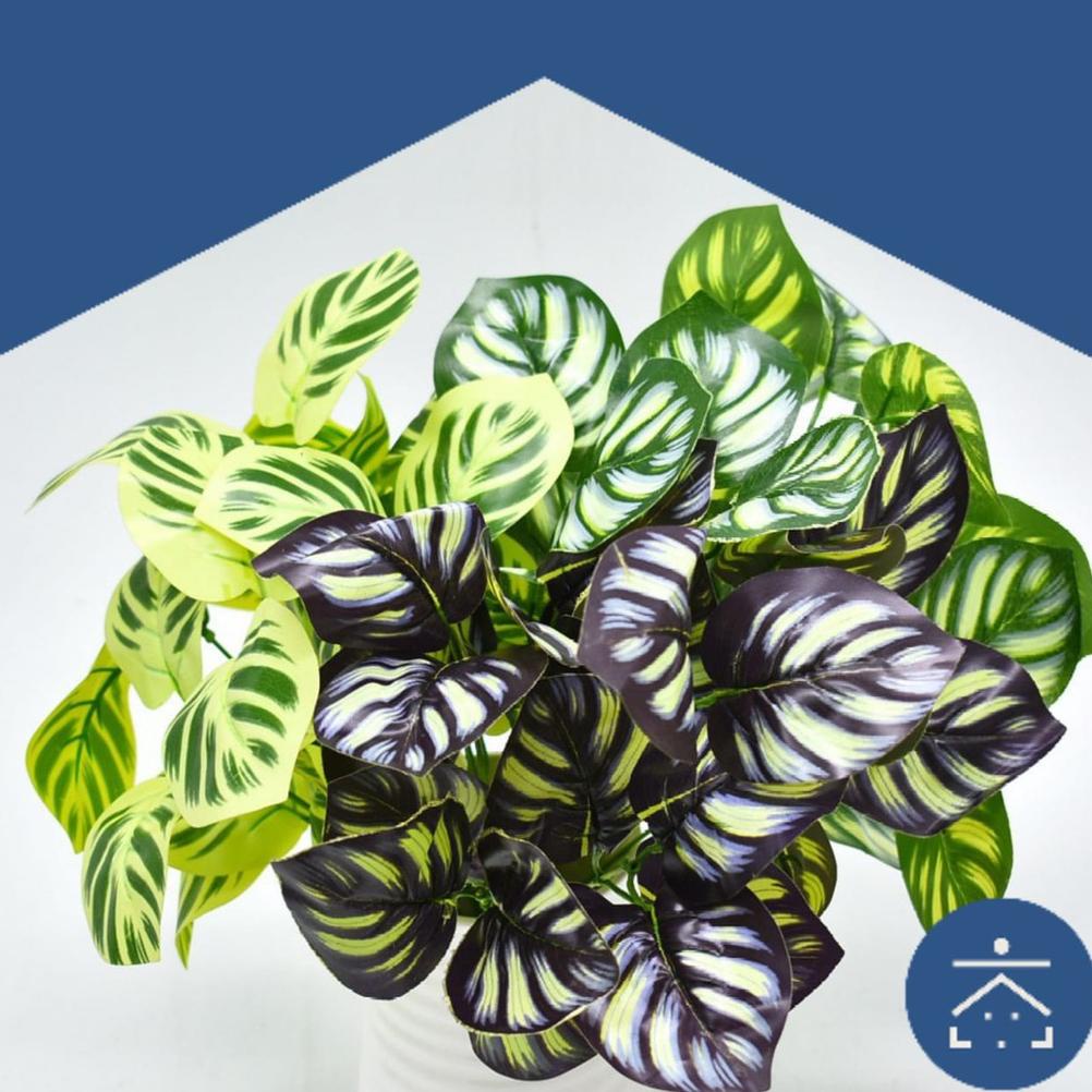 Kunataruma Tanaman Hias Indoor Plastik Pot