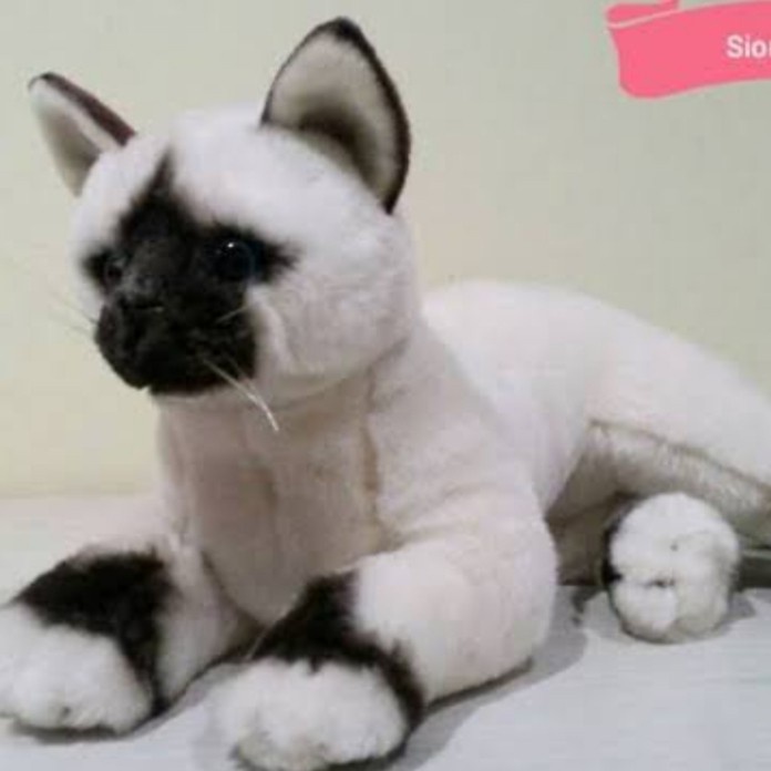 Diskon Boneka Kucing Siam Lying Terbatas