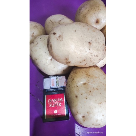 

KENTANG DIENG KENTANG semi ORGANIK KENTANG PULEN KENTANG MENTEGA