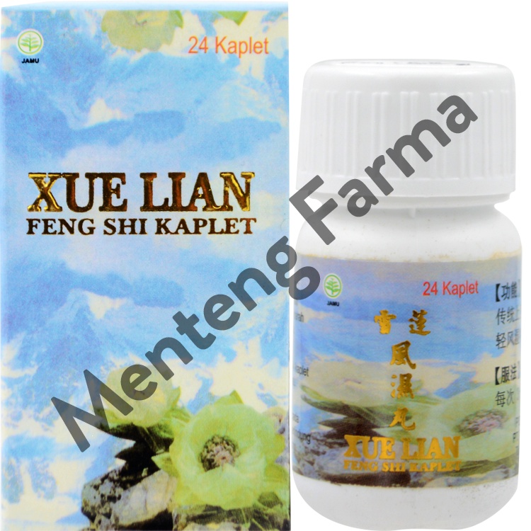 Ginseng Snow Lotus Feng Shi Pill