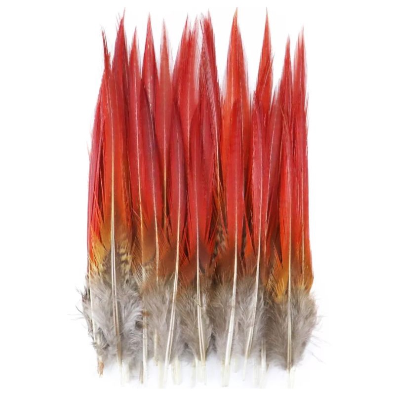 Red Tip Golden Pheasant Feather 15-20 cm