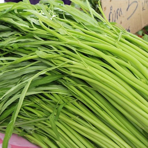 250 Bibit Kangkung Daun Sempit Serimpi Super Benih Tanaman Sayuran Hidroponik Unggul Batang Gurih