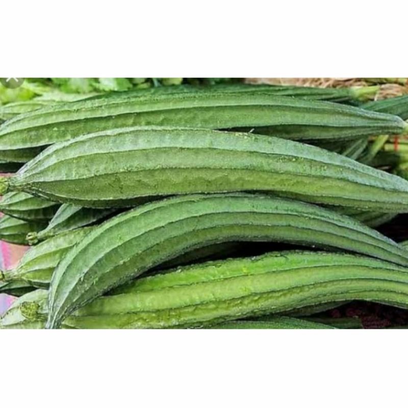 

Sayur oyong segar +-500 gr
