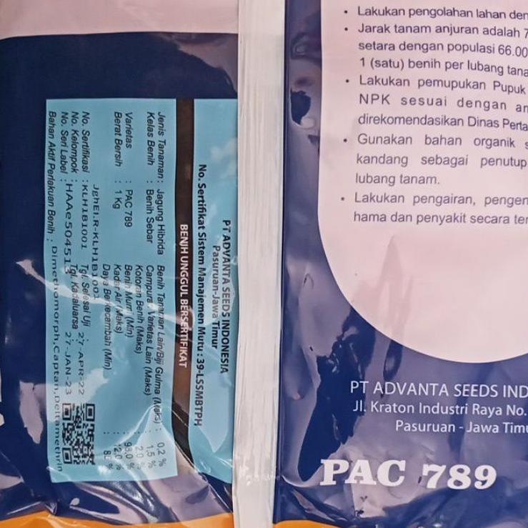 Segera Serbu Benih jagung Hibrida PAC 789 RAKSASA 1kg diganti PAC 789 ADV JAGO