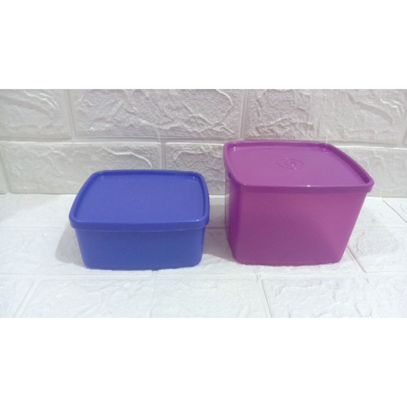 MEDIUM/SMALL SUMMER TUPPERWARE