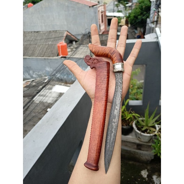 gecong bone
