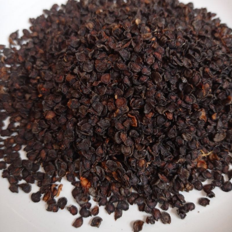 Benih Bibit Biji Super Cabai Gendot / Cabe Gendot Bandung Unggul isi 500 biji