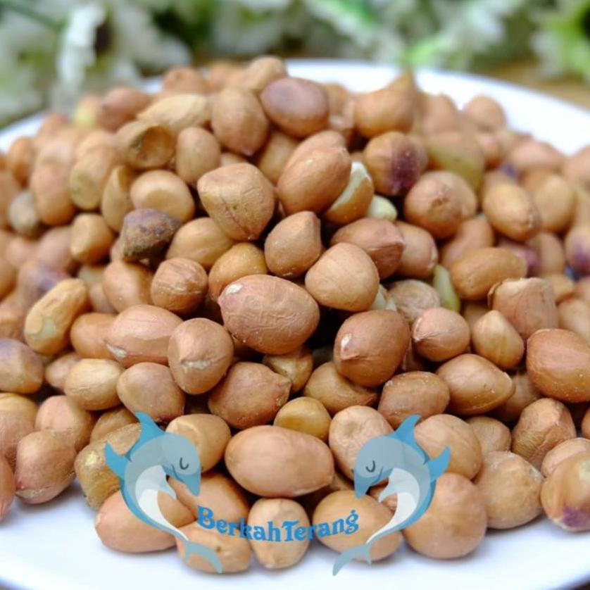 

Harga Khusus--Kacang Tanah Tuban Super 1kg / Kacang Tanah