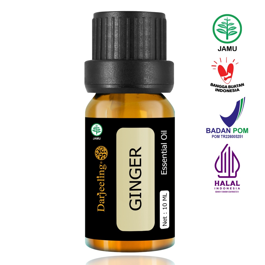 Darjeeling Ginger Essential Oil / Minyak Jahe Aromaterapi