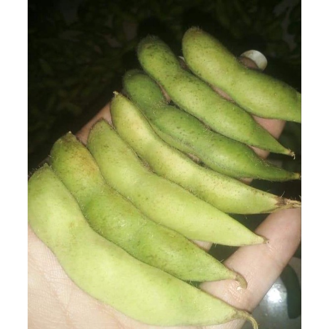 

Edamame FRESH