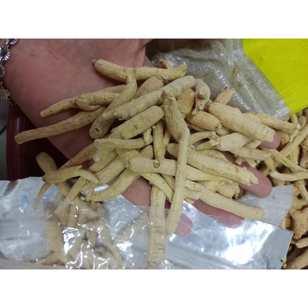 

American Ginseng (Yong Sem /西洋参）asli Gunung Chang Bai (长白山）bentuk batang 10 gram