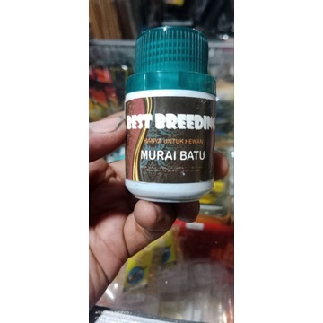BEST BREEDING MURAI BATU