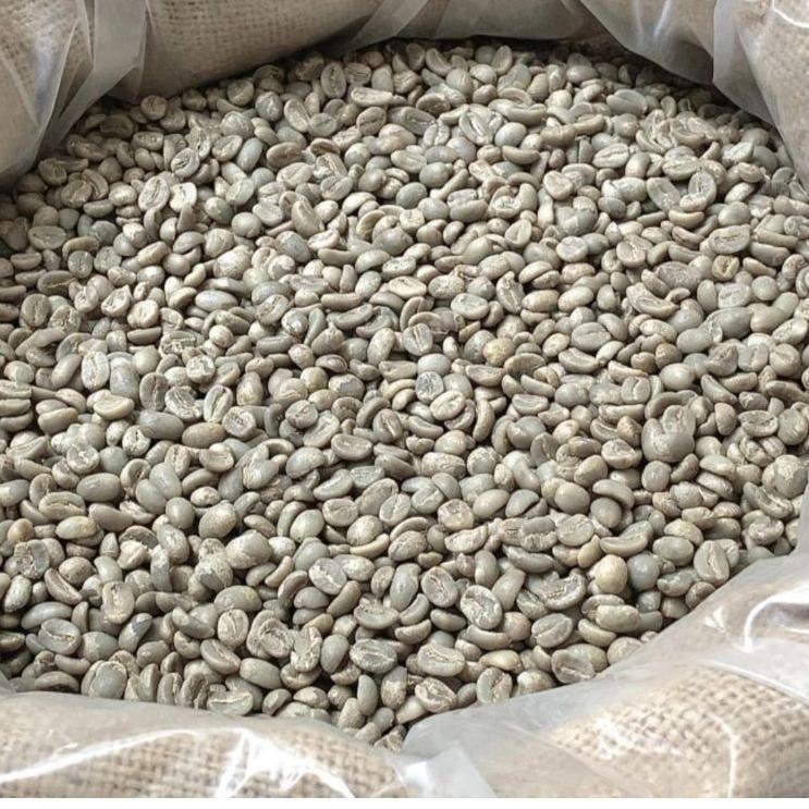 

TERLARIS Arabica Bali Kintamani greenbean murah